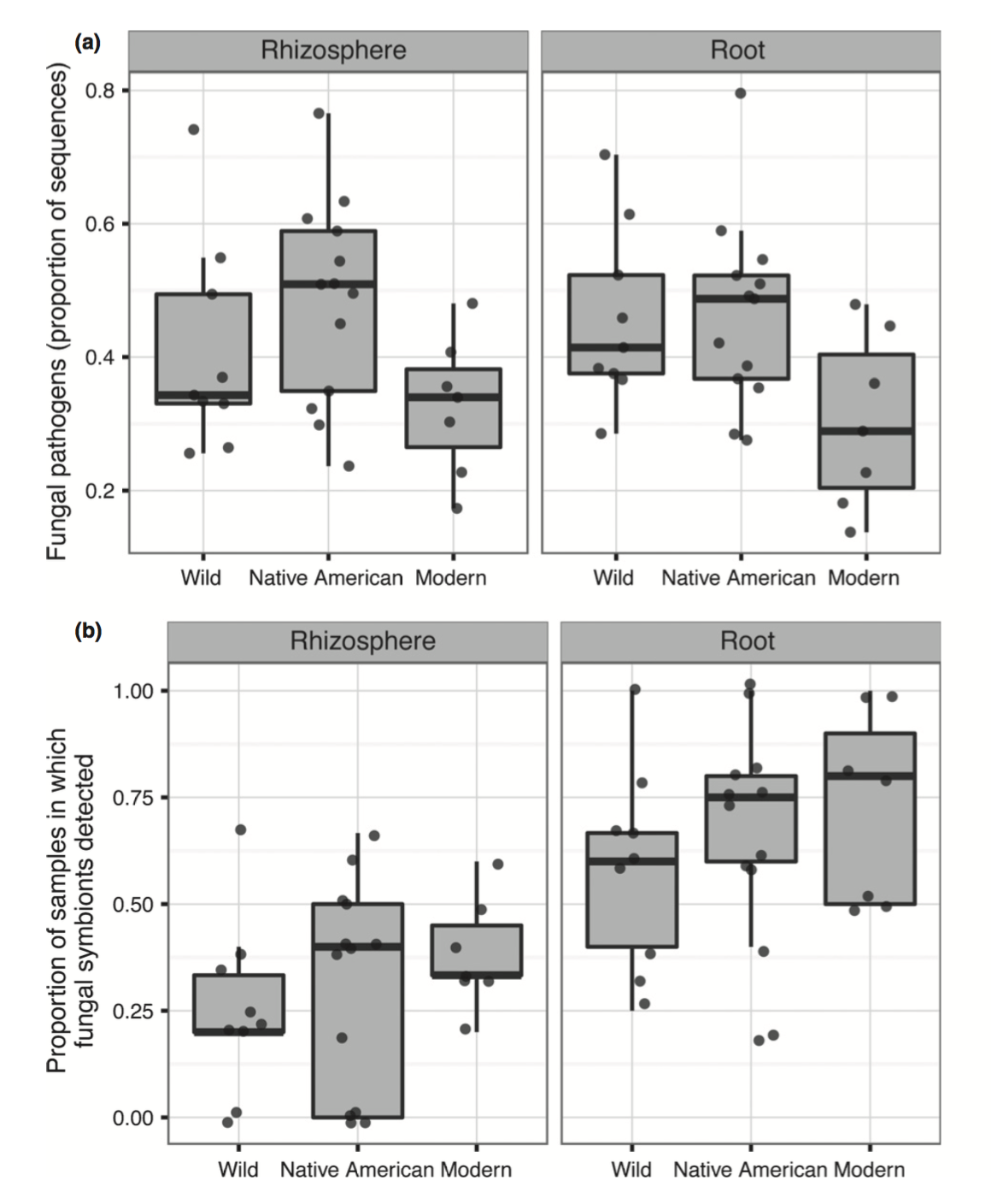 Fungal community composition of sunflower figure 1